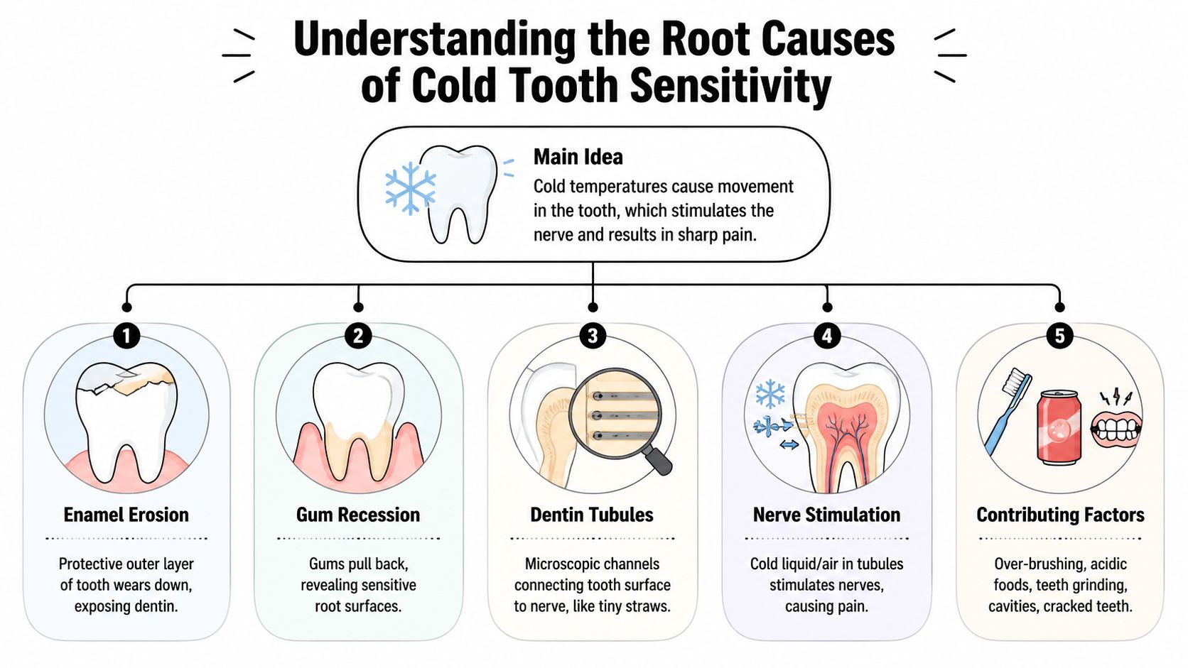 A diagram explaining the root causes of cold tooth sensitivity, showing how enamel and gum issues cause nerve pain.